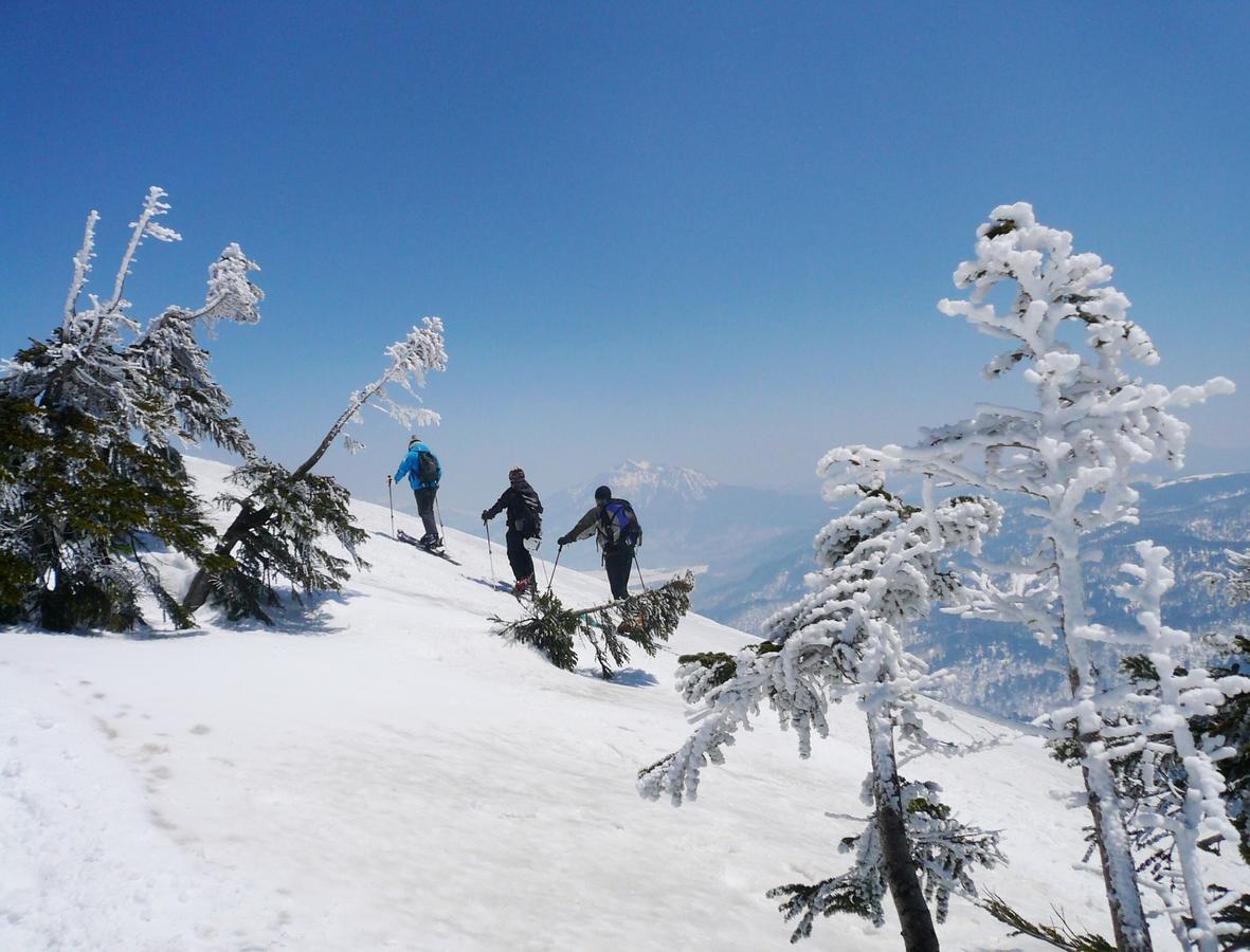 Pension Fushuki Nikko Dış mekan fotoğraf